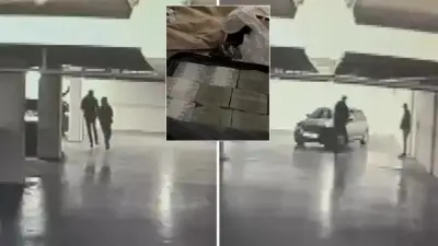 سرقة 30 مليون دولار في 15 دقيقة بإسطنبول.. أكبر عملية سطو نقدي في تاريخ تركيا