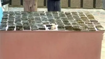 ضبط 35 شخصًا بحيازة مخدرات وأسلحة في حملة أمنية بالجيزة وسقوط عنصر إجرامي بغسل 240 مليون جنيه