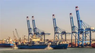 ميناء دمياط يشهد نشاطاً لوجستياً مكثفاً باستقبال 3900 رأس ماشية وإطلاق قطارات القمح