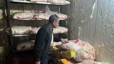 ضبط 42 طن لحوم فاسدة في الجيزة خلال حملات تفتيشية مكثفة استمرت 3 أسابيع