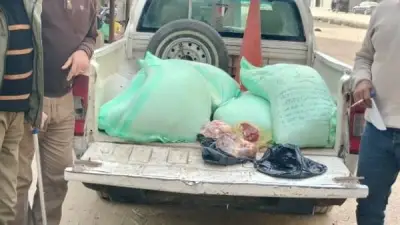 الفيوم: حملة تموينية مكثفة تسفر عن تحرير 42 مخالفة في المخابز البلدية والسياحية