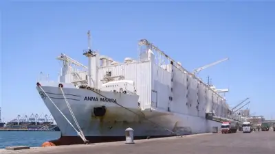 ميناء دمياط يشهد انتعاشة ملاحية باستقبال ناقلة غاز عملاقة و694 رأس ماشية