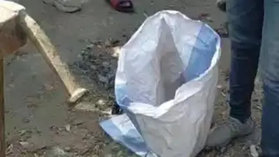 العثور على 9 أجنة بشرية داخل برطمانات زجاجية في المنيا.. ضبط 3 متهمين خلال ساعات