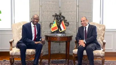 وزير الخارجية: مصر ترى السنغال شريكًا استراتيجيًا في غرب أفريقيا وتعزز التعاون الثنائي