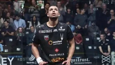 مصطفى عسل يواجه بول كول في نهائي أمريكا المفتوحة للإسكواش.. ونور الشربيني تلتقي أمينة عرفي