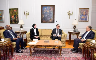 وزير الخارجية يجتمع مع نوابه لوضع خطة لتعزيز حضور مصر إقليمياً ودولياً