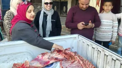 ضبط لحوم أحصنة ولحوم فاسدة وأسماك في حملات تفتيشية مكثفة ببني سويف