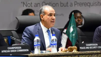 وزير الخارجية المصري يترأس مشاورات غير رسمية حول السودان بمجلس السلم والأمن الأفريقي
