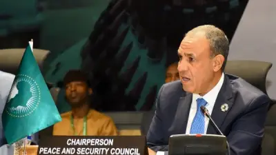 وزير الخارجية المصري يطالب بمسار إنساني فوري لضمان وصول المساعدات للسودان