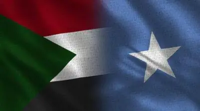 مجلس السلم والأمن الأفريقي يعتمد بيانين لدعم وحدة وسيادة السودان والصومال