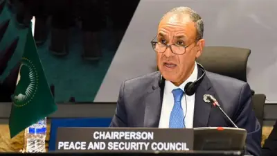 مصر تعلن عن جهود مكثفة عبر المسارات السياسية والدبلوماسية لدعم السودان والصومال