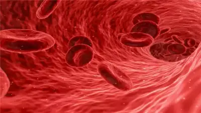 تأثير أنيميا فقر الدم على الجسم خلال صيام رمضان: نصائح طبية هامة