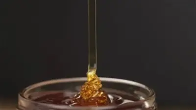 عسل السدر الجبلي: كنز طبيعي لتعزيز المناعة وتحسين الصحة العامة