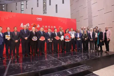 المتحف المصري الكبير يحتفي بعيد الربيع الصيني بفعاليات ثقافية مميزة