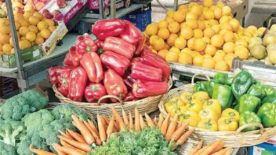 تقلبات أسعار الخضار في سوق العبور: البصل يرتفع والليمون والفاصوليا تشهد انخفاضًا ملحوظًا