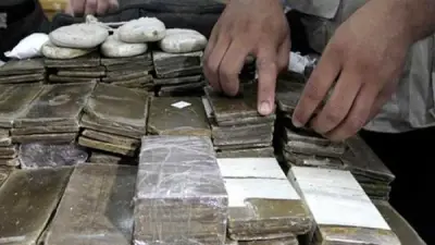 حبس عاطلين بتهمة إدارة مصنع للمواد المخدرة في الإسماعيلية