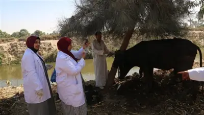 جامعة الفيوم تنظم قافلة بيطرية مجانية في عزبة سعد لفحص وعلاج آلاف الحيوانات