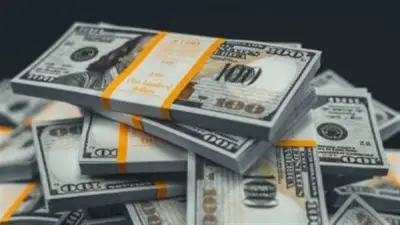 استقرار سعر الدولار أمام الجنيه السوداني في بنك السودان المركزي صباح الثلاثاء