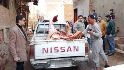 ضبط نصف طن لحوم فاسدة في المنوفية خلال حملة تموينية موسعة