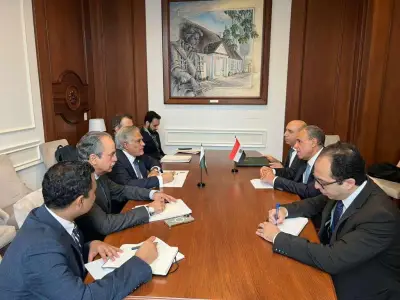 عبد العاطي: سرعة نشر قوة دولية في غزة ضرورية لوقف إطلاق النار