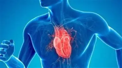 تضخم عضلة القلب: الأسباب الرئيسية وسبل الوقاية والعلاج الفعال