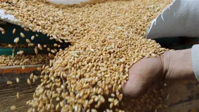 تقلبات حادة تشهدها أسواق السلع والمعادن النفيسة في تعاملات الخميس