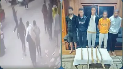 ضبط طرفي مشاجرة بالعصي في البحيرة بسبب خلافات مالية والنيابة تباشر التحقيق