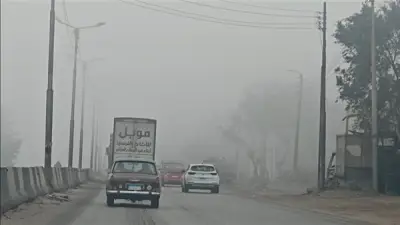 الأرصاد تحذر من شبورة مائية كثيفة على شمال البلاد والقاهرة الكبرى غدًا الجمعة