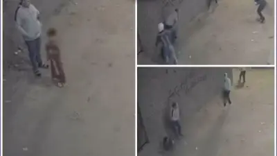 تعدي بسلاح ناري وأبيض في باسوس.. عقوبات مشددة لحيازة الأسلحة دون ترخيص