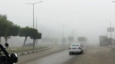 الأرصاد تحذر: أجواء شتوية باردة وضباب كثيف يغطي طرق رئيسية خلال الأيام المقبلة