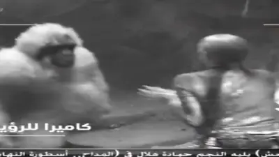 رامز جلال يرتدي زي غوريلا ويصدم غادة عبد الرازق في حلقة جديدة من برنامجه