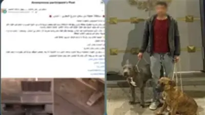 الأمن يوضح تفاصيل فيديو اعتداء كلبين على قطة ونفوقها بالإسكندرية