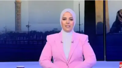 ياسر جلال: مسلسل 