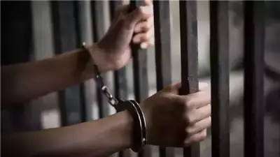 حبس متهم بوضع كلاب في أكياس بلاستيكية بحدائق أكتوبر بعد فيديو متداول