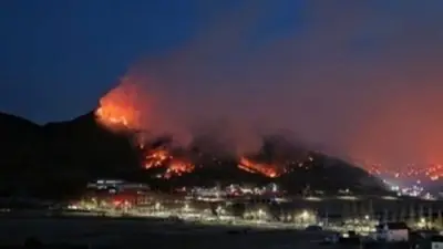 حرائق الغابات في كوريا الجنوبية تستمر لليوم الثاني في ميريانغ مع جهود إخماد مكثفة