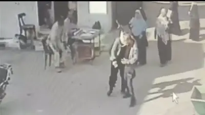 وكيل الزراعة بالغربية يحيل مديرة إدارة للتحقيق بعد اعتدائها بالضرب على زميل داخل المديرية