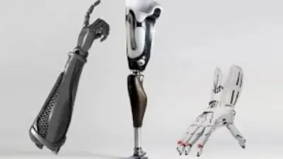 برلمانية تؤكد أهمية مجمع الأطراف الصناعية لتمكين ذوي الإعاقة وتعزيز الصناعة الوطنية