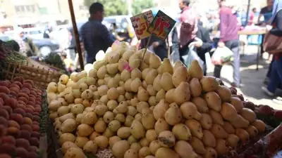 أسعار الفاكهة تشهد تباينًا في سوق العبور خلال سابع أيام رمضان