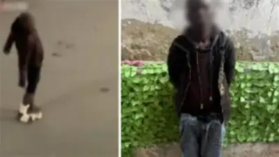 القبض على شاب أفريقي لرقصه بطريقة غير متزنة في شوارع الجيزة