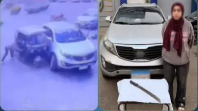 الداخلية تكشف تفاصيل فيديو سيدة الساطور بشبين الكوم: خلافات أسرية وراء الاعتداء