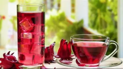 خبير تغذية يحذر: الكركديه مفيد للضغط المرتفع لكنه خطر على السحور لهؤلاء