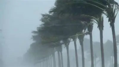 برودة وأمطار ورياح نشطة.. توقعات مفصلة لحالة طقس الإسكندرية غدًا