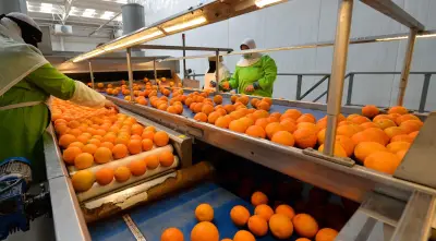 الحرب في الشرق الأوسط تهز التجارة الإقليمية وتؤثر على الصادرات المصرية