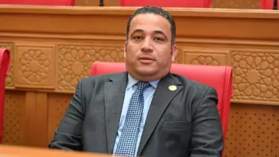 برلماني: العاشر من رمضان ملحمة عسكرية خالدة في تاريخ مصر