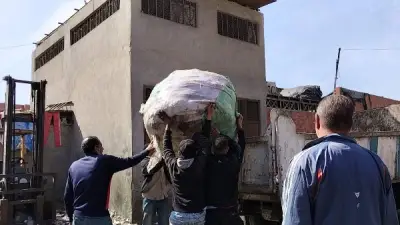 حملة بورسعيد الثالثة تستهدف معاقل الفرزة والنباشين في منطقة C6 لحماية الصحة العامة