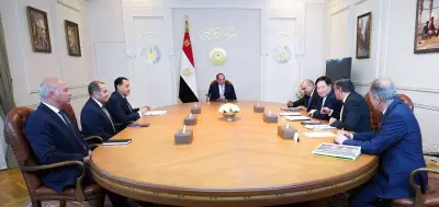 الرئيس السيسي يستقبل رئيس شركة GCL الصينية لبحث التعاون في مجال الطاقة المتجددة