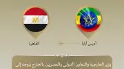 وزير الخارجية المصري يترأس وفد بلاده في قمة الاتحاد الأفريقي بأديس أبابا