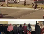 ملابس مشاجرة بين سيدات بالجيزة تتصاعد إلى سب وتراشق بالحجارة