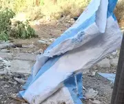 قضية جوال الأجنّة بالمنيا: إخلاء سبيل المتهمين الثلاثة بعد تحقيق النيابة