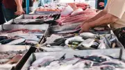 تقلبات أسعار الأسماك في سوق العبور: ارتفاع البلطي والكابوريا وانخفاض المكرونة